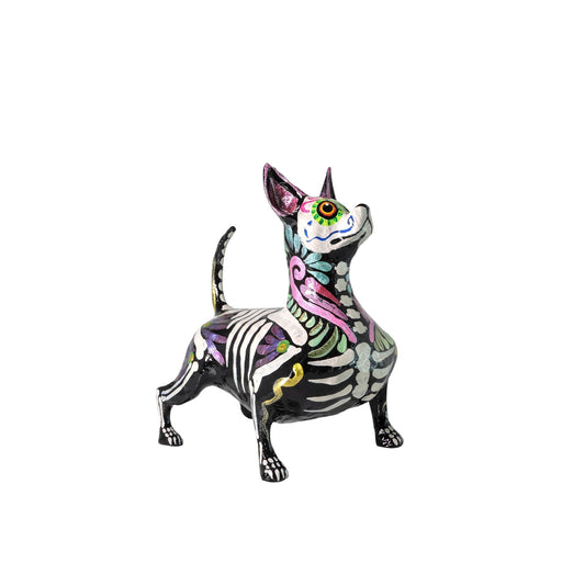 Xolo Gordito espiral rosa