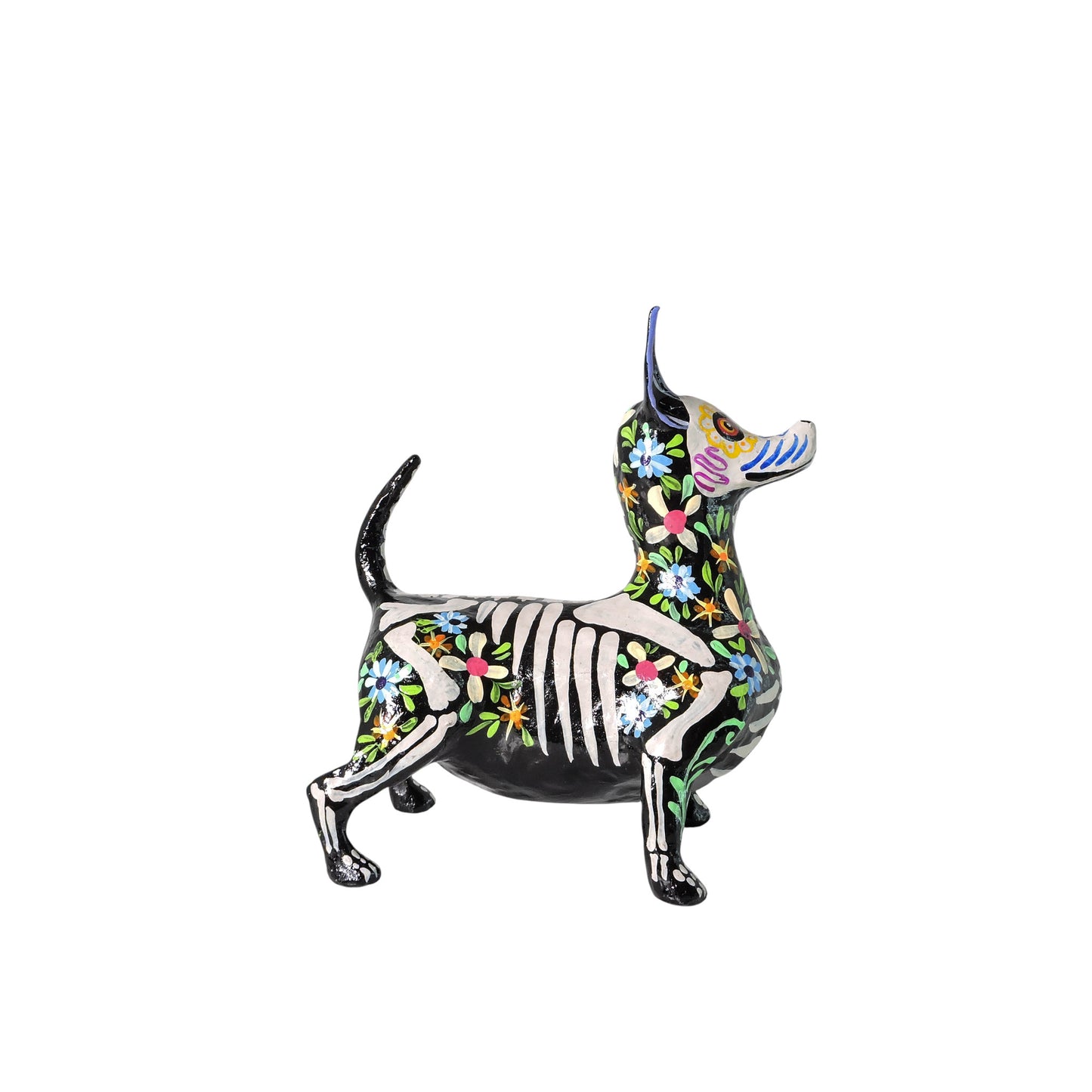 Xolo Gordito florido