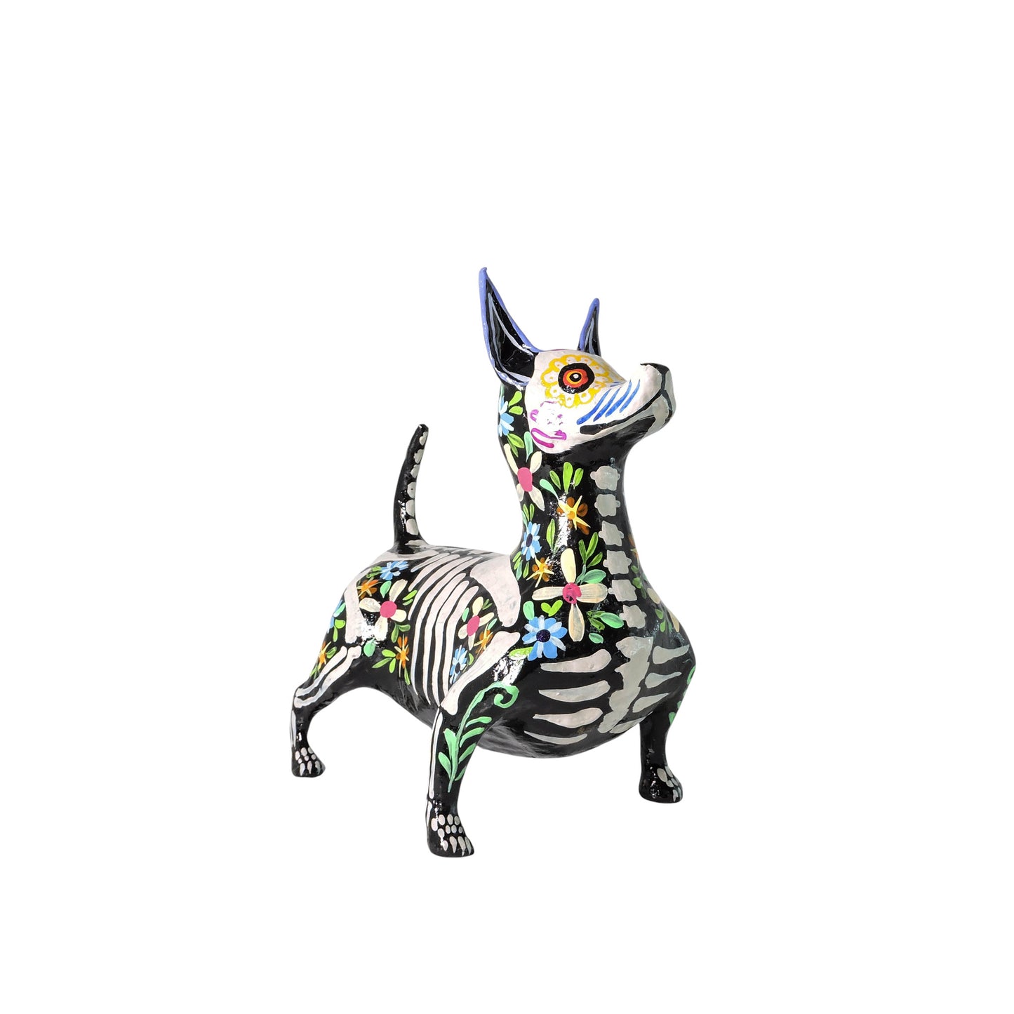 Xolo Gordito florido