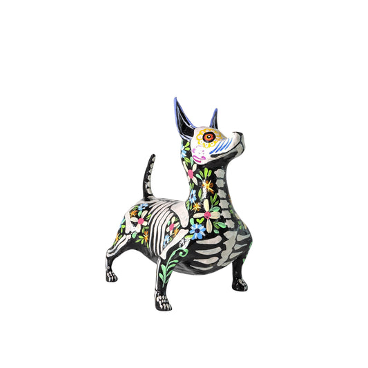 Xolo Gordito florido