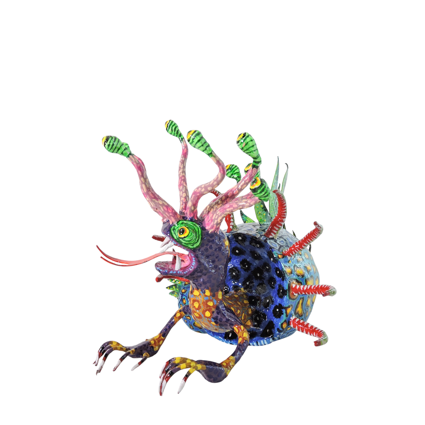 Caracol Abisal  Opossum Crestado Azul