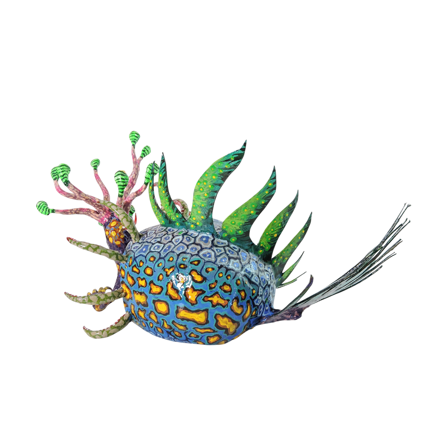 Caracol Abisal  Opossum Crestado Azul