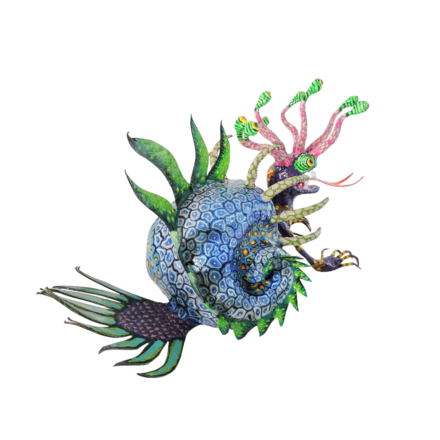 Caracol Abisal  Opossum Crestado Azul