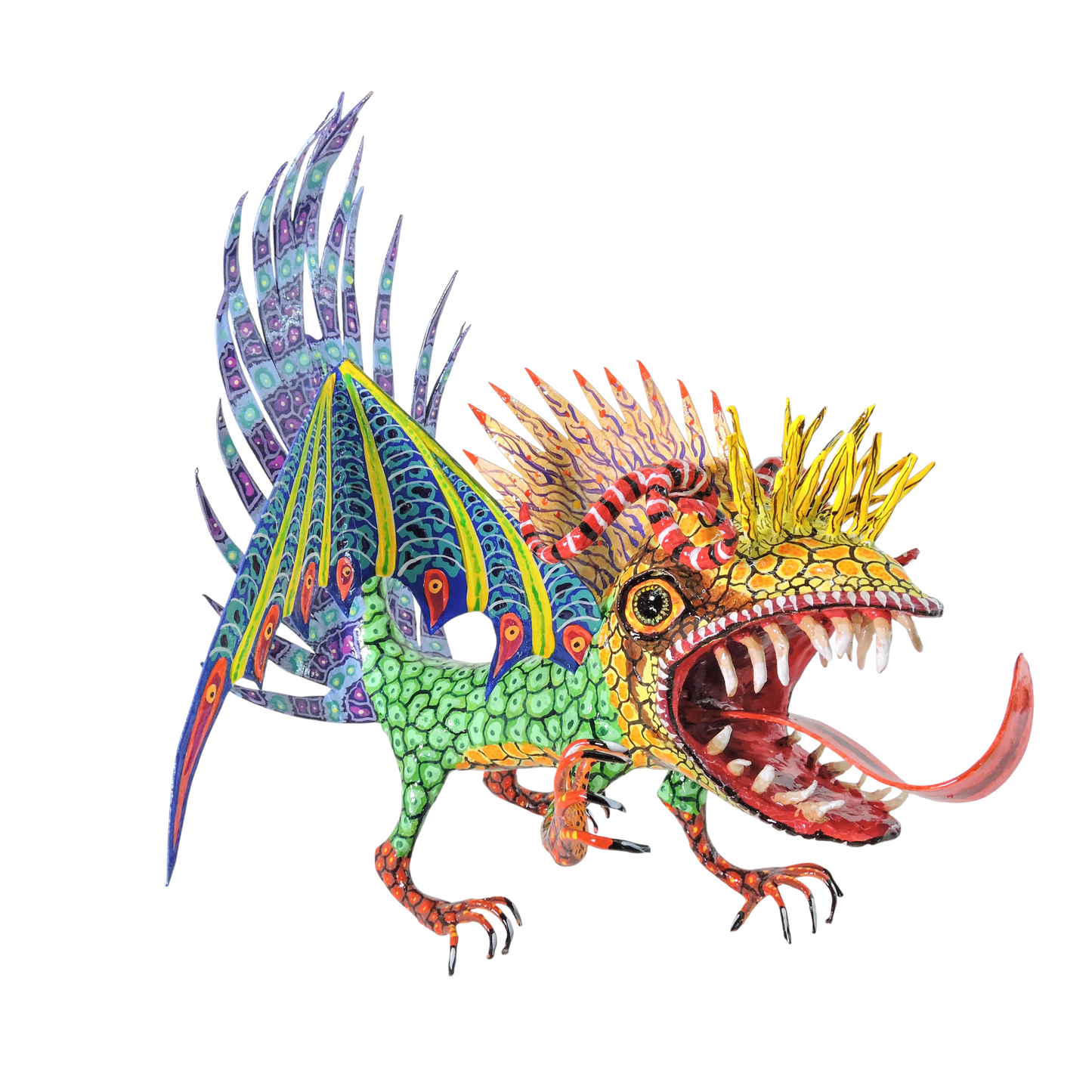 Pez Anfibio Crestado Volador flamingero