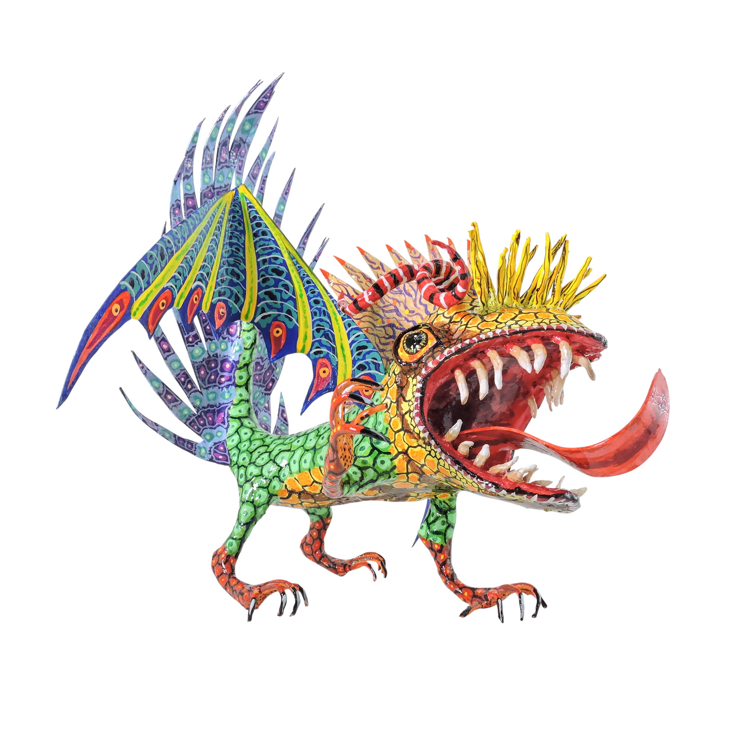 Pez Anfibio Crestado Volador flamingero