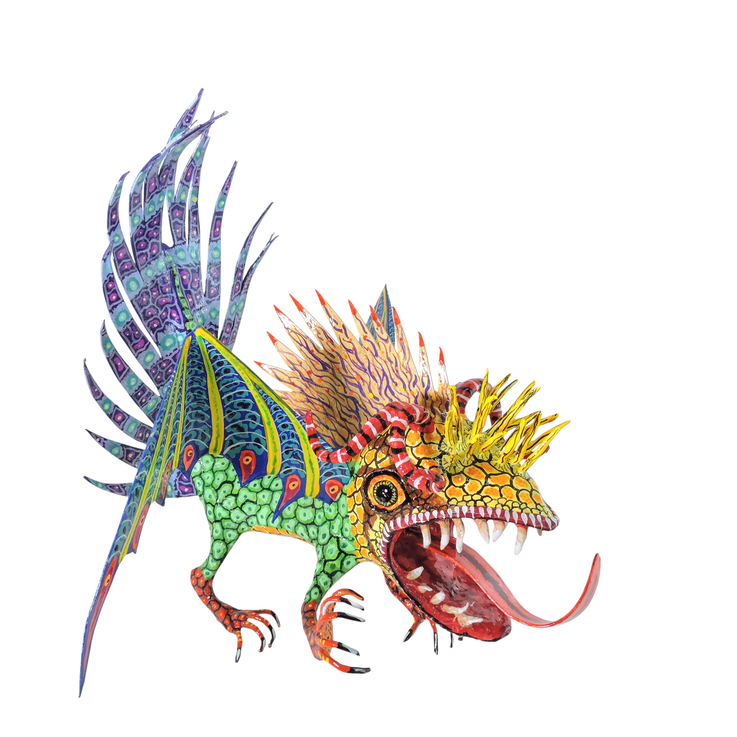 Pez Anfibio Crestado Volador flamingero