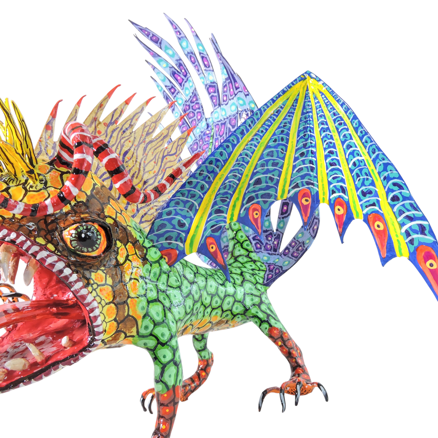 Pez Anfibio Crestado Volador flamingero