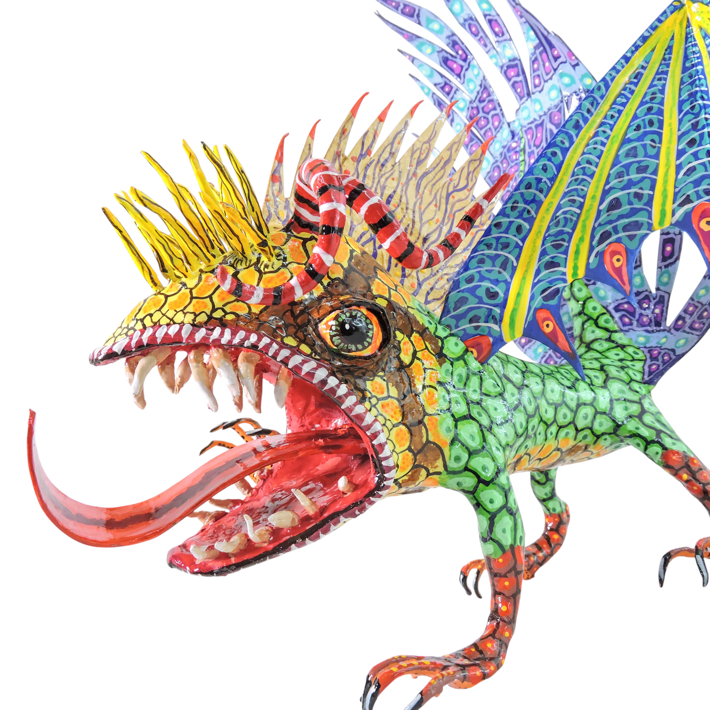 Pez Anfibio Crestado Volador flamingero