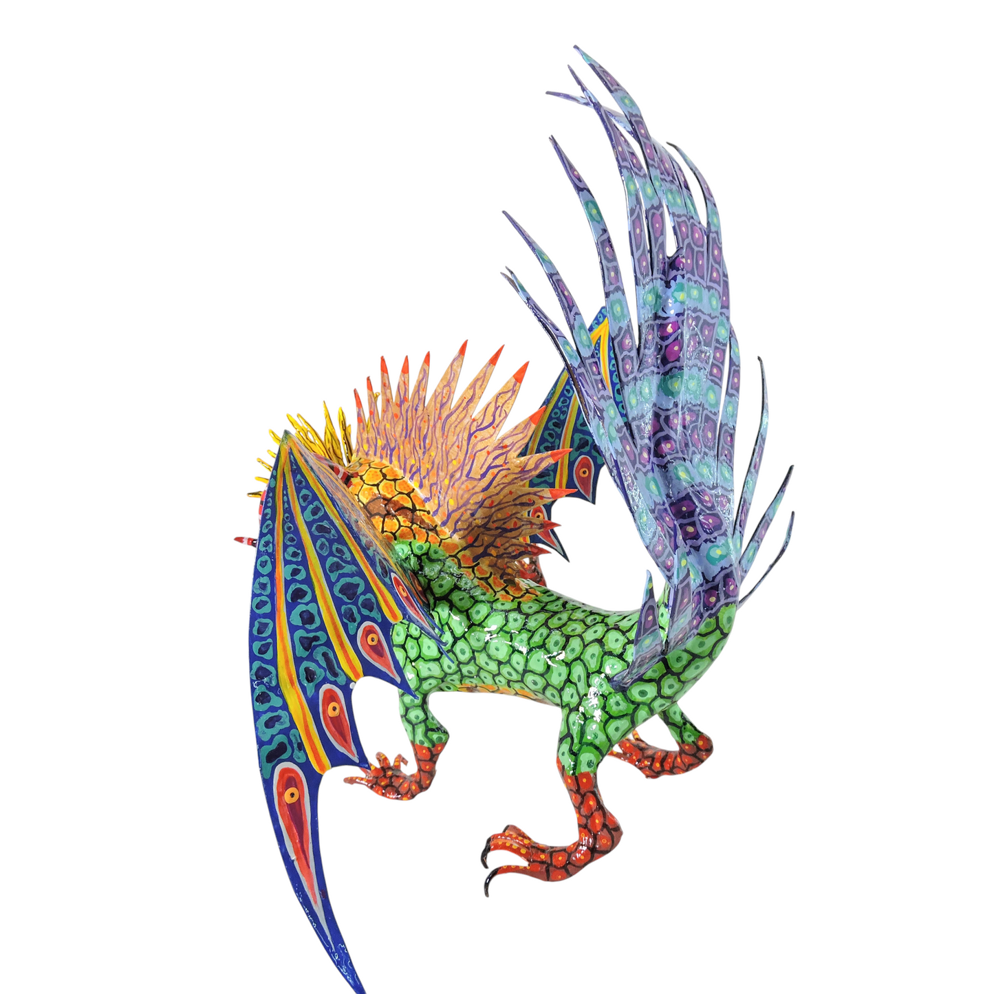 Pez Anfibio Crestado Volador flamingero