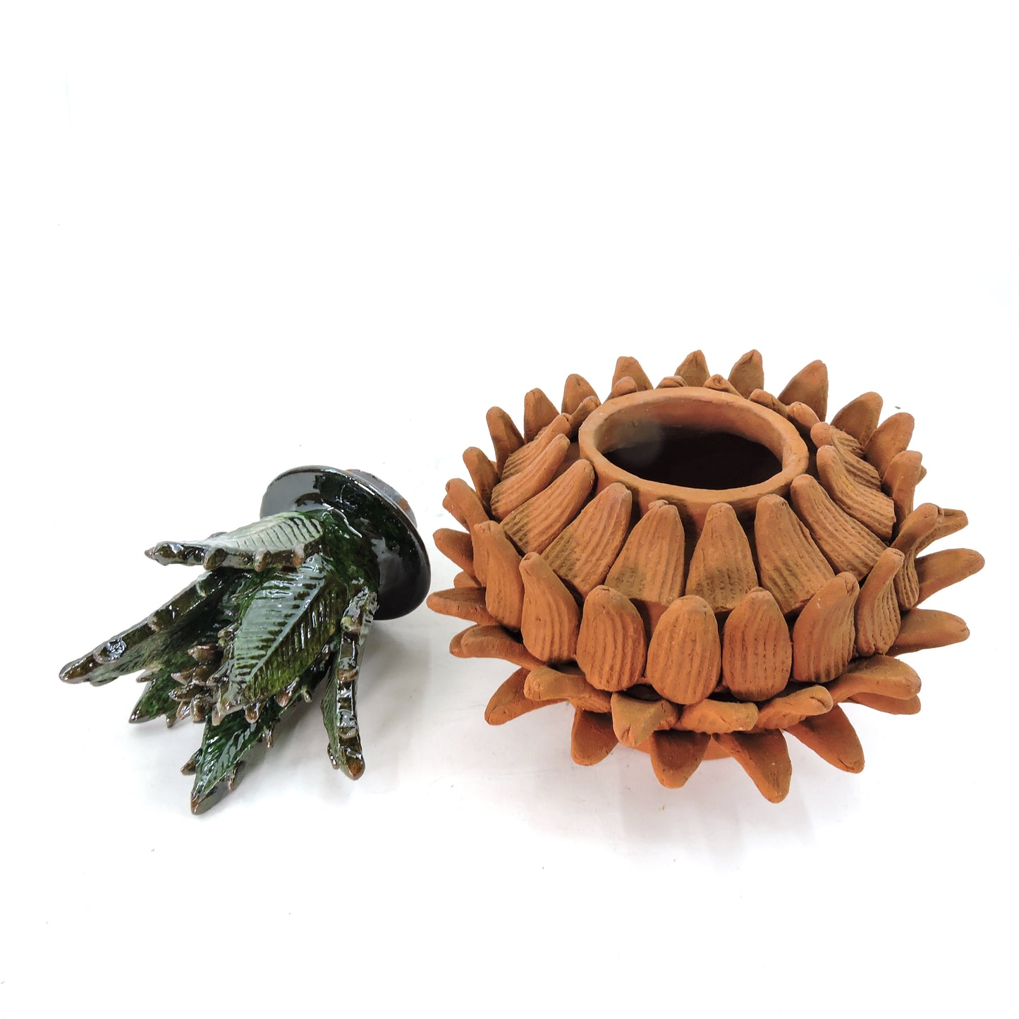 Calabaza Colores  de la terracota Petalos