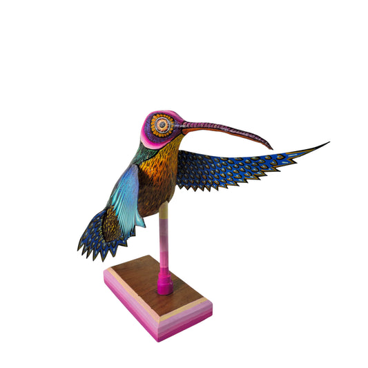 Colibri Azul