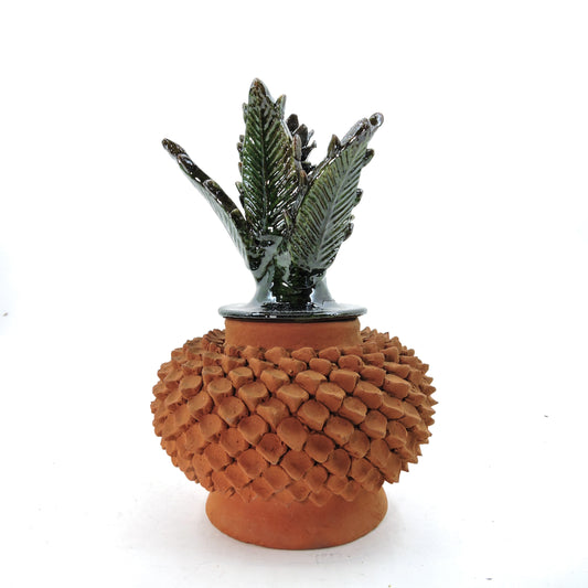 Calabaza Colores  de la terracota Picos