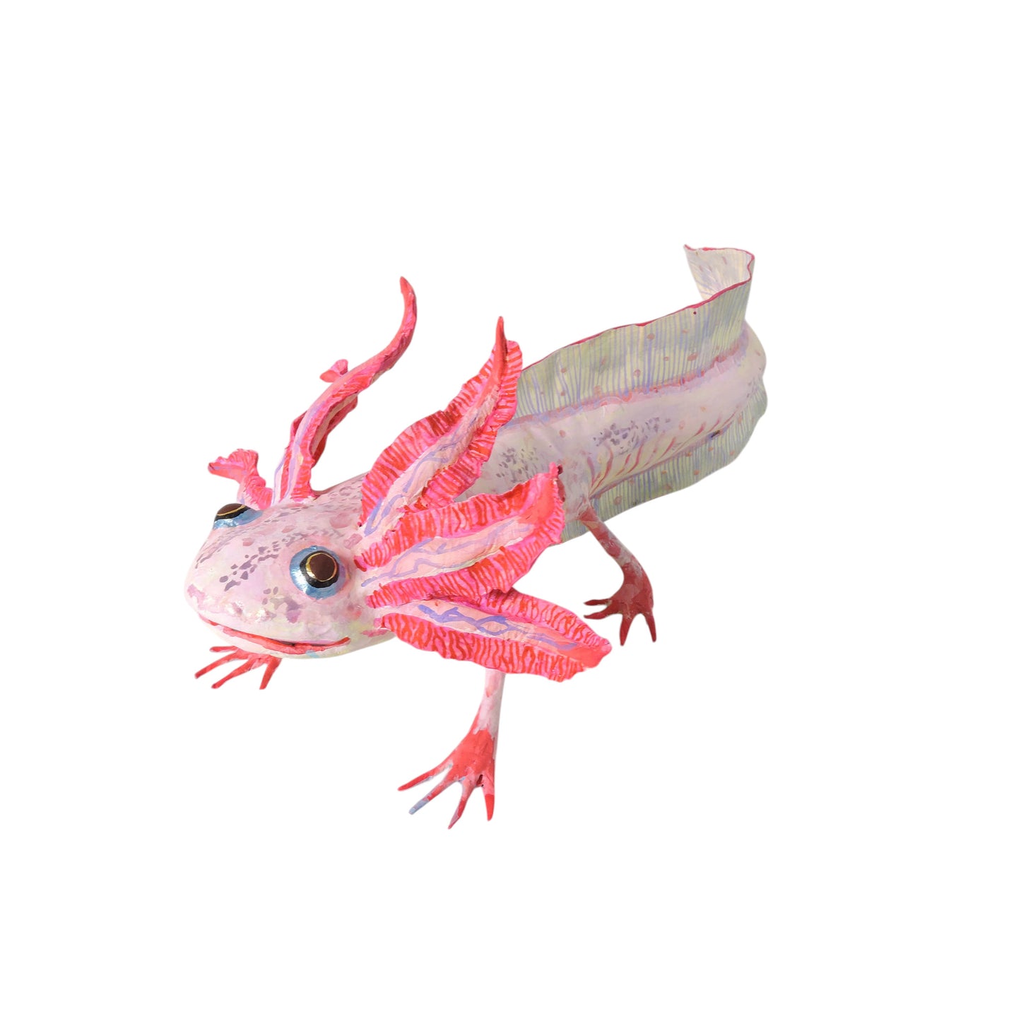 Ajolote Rosa Pardo