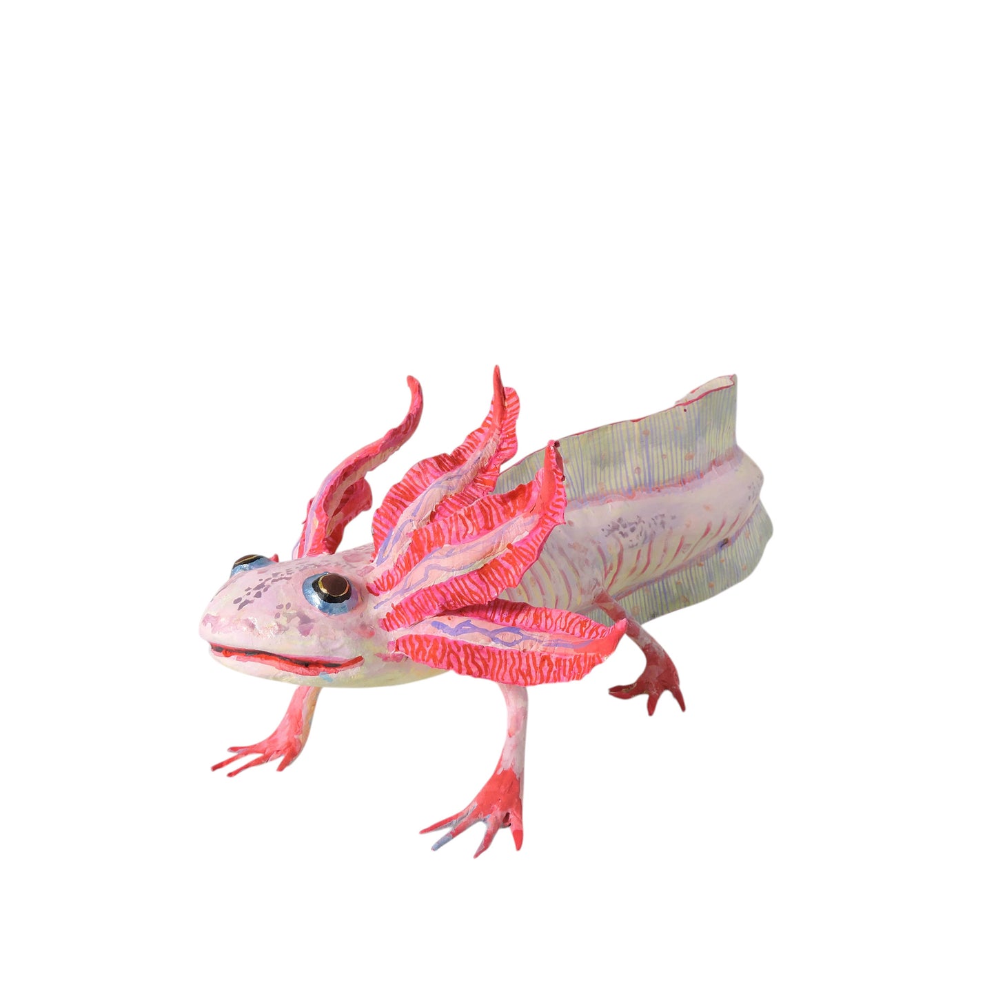 Ajolote Rosa Pardo
