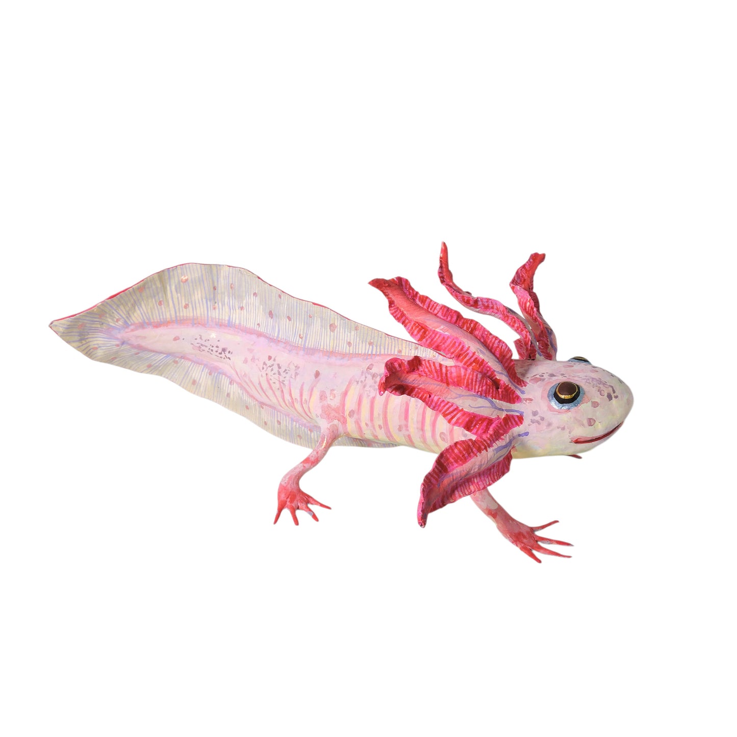 Ajolote Rosa Pardo