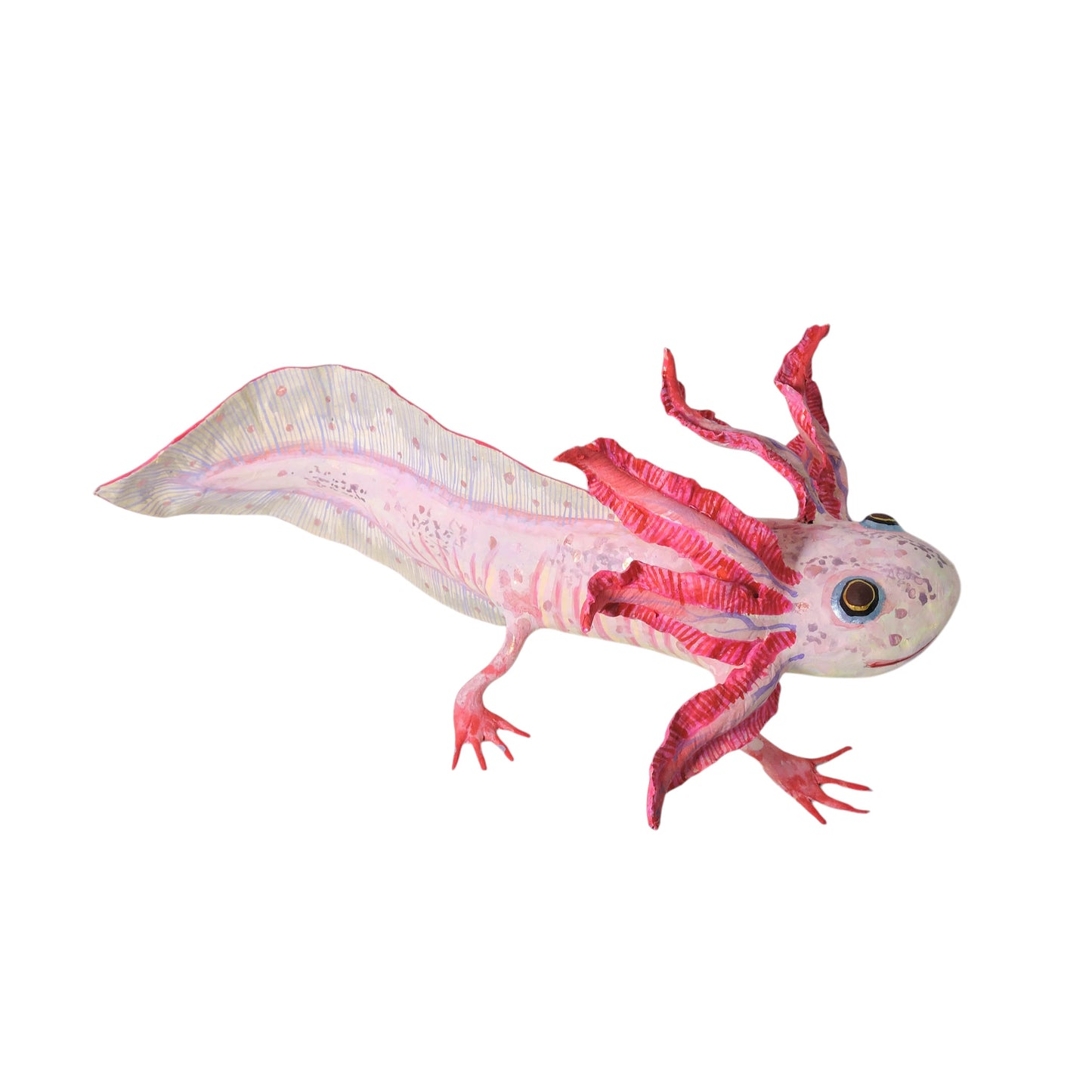 Ajolote Rosa Pardo