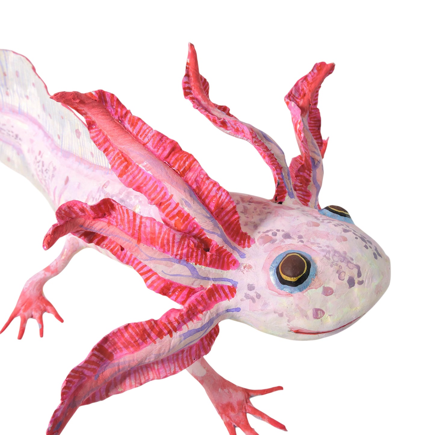 Ajolote Rosa Pardo