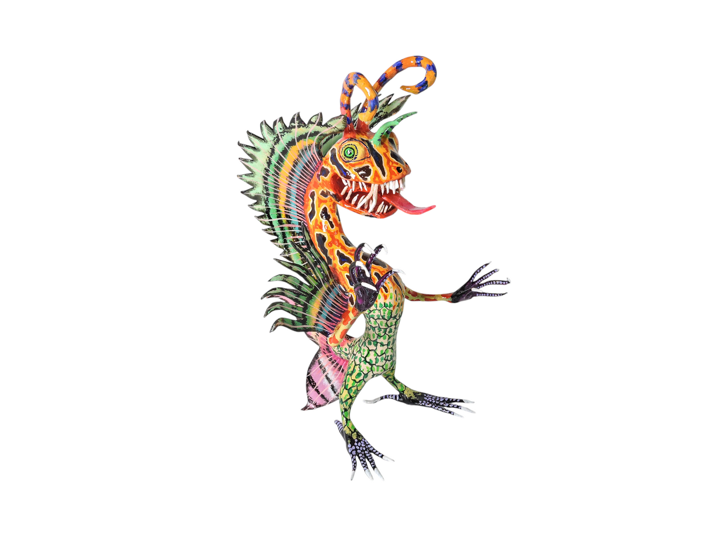 Lagarto Pez payaso
