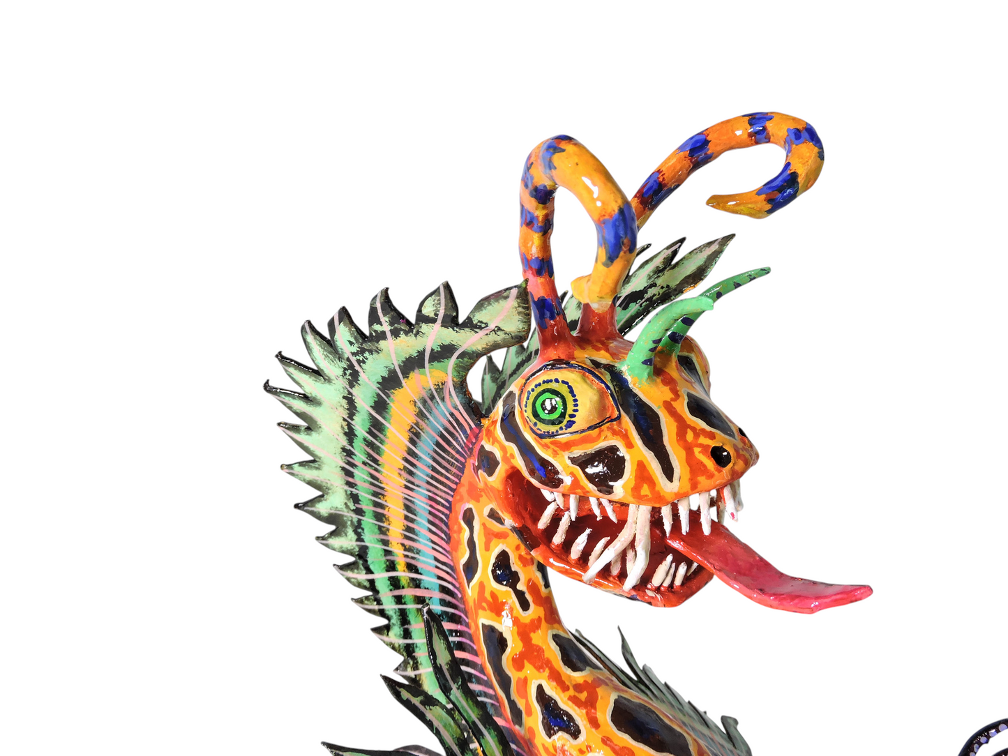 Lagarto Pez payaso
