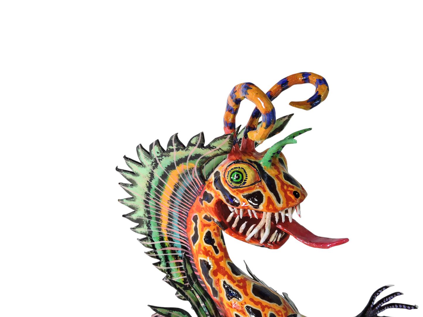 Lagarto Pez payaso