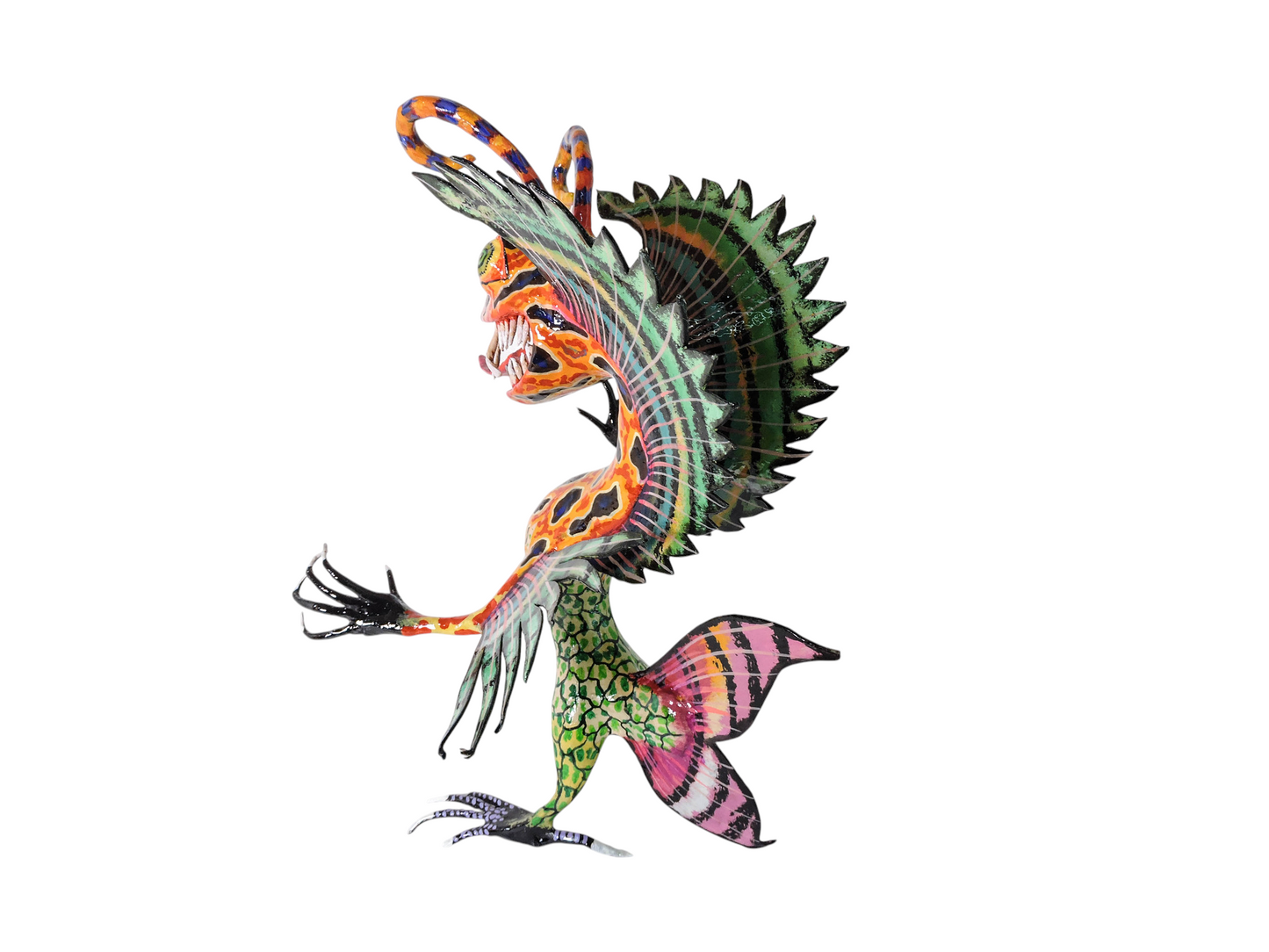 Lagarto Pez payaso