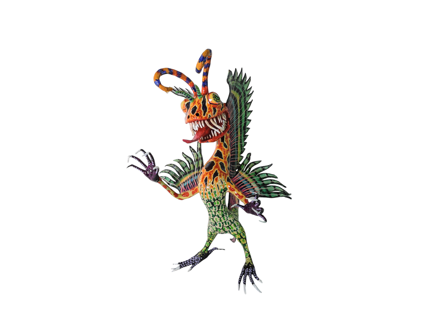 Lagarto Pez payaso