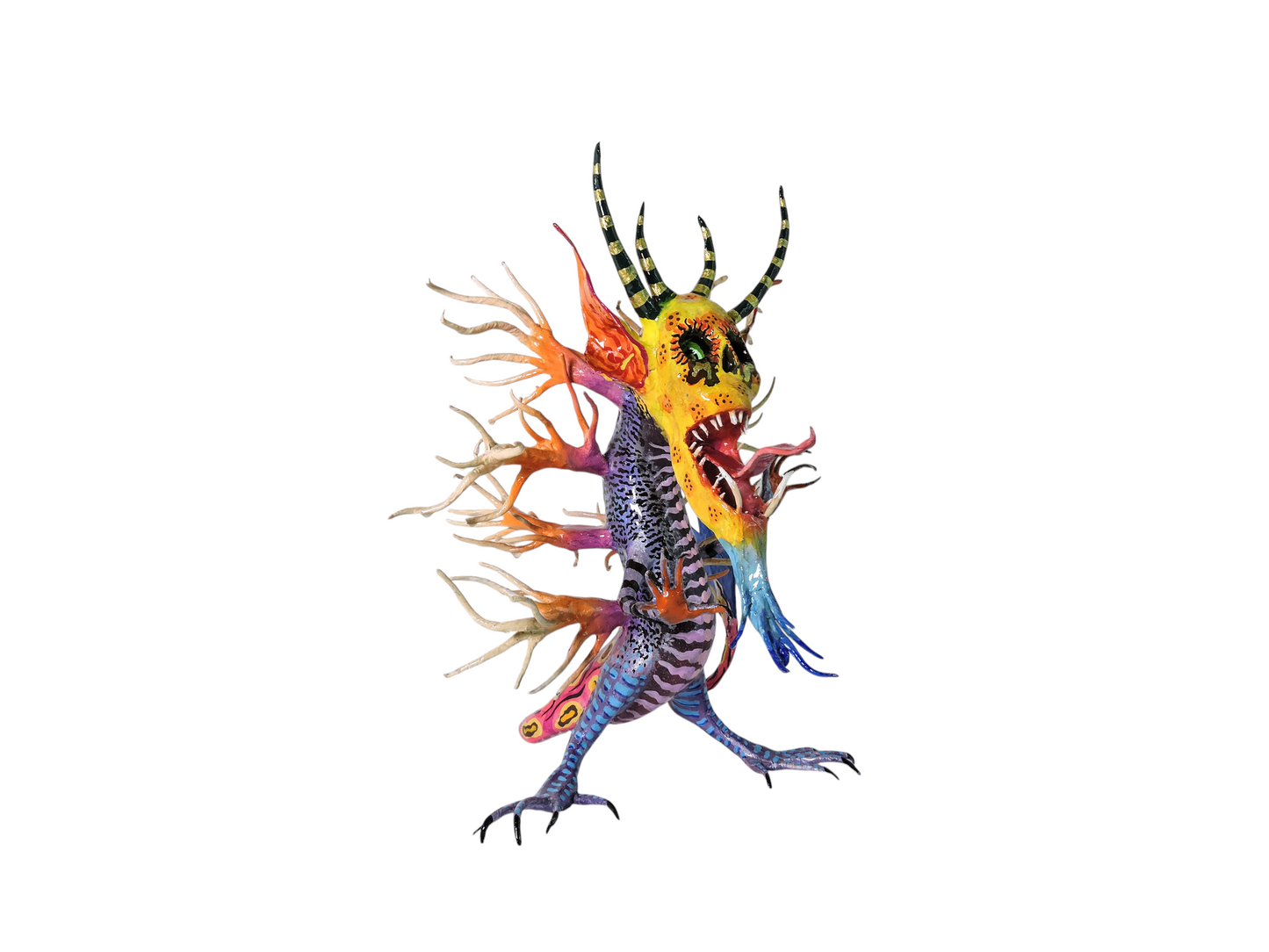 Calavera coral