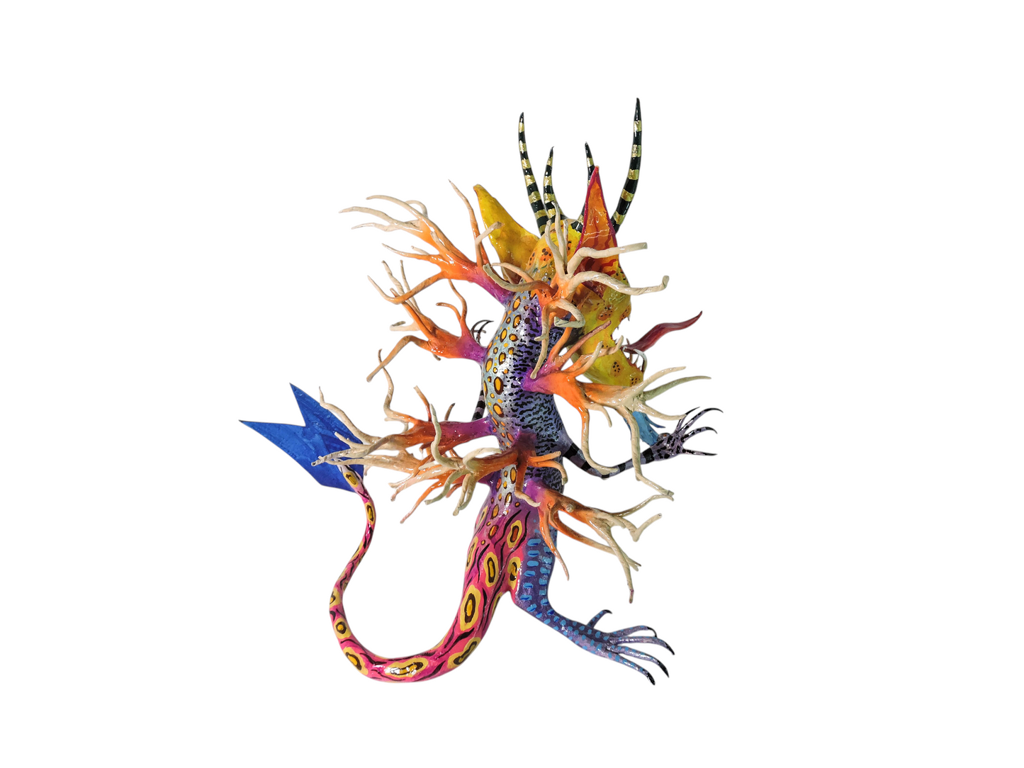 Calavera coral