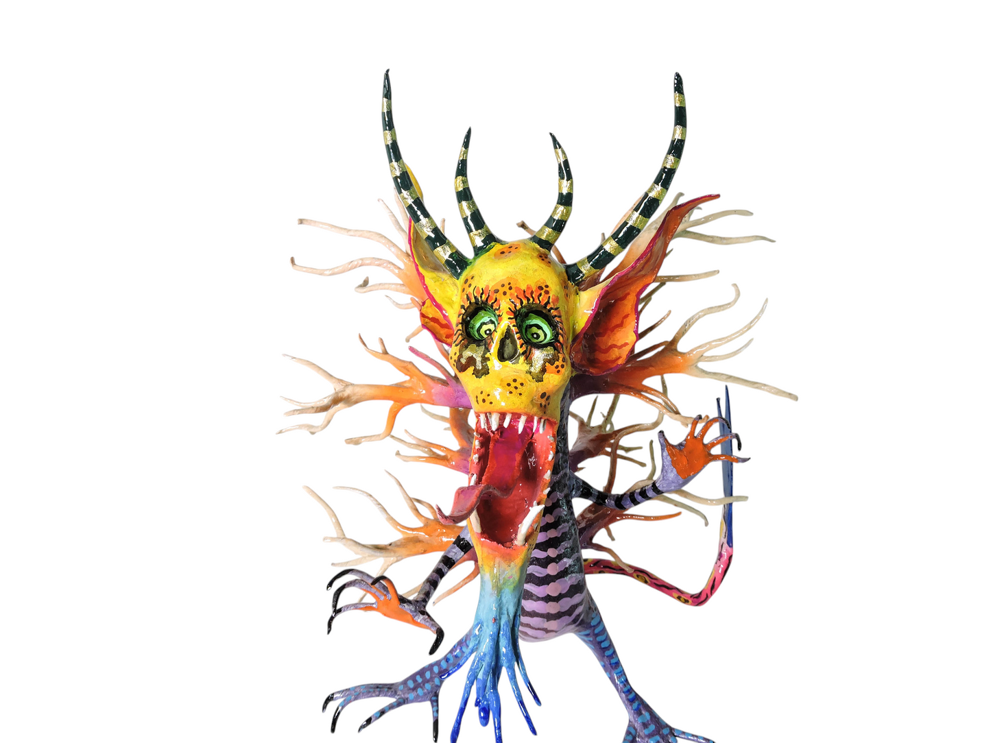 Calavera coral