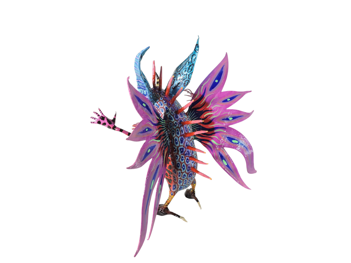 Sapo mariposa azul
