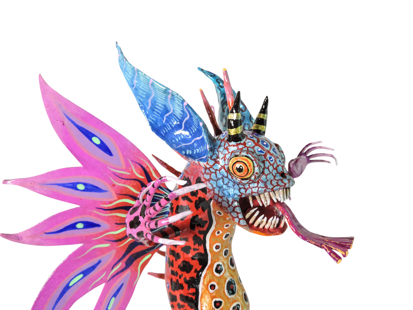 Sapo mariposa azul