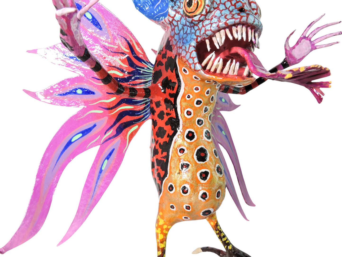 Sapo mariposa azul