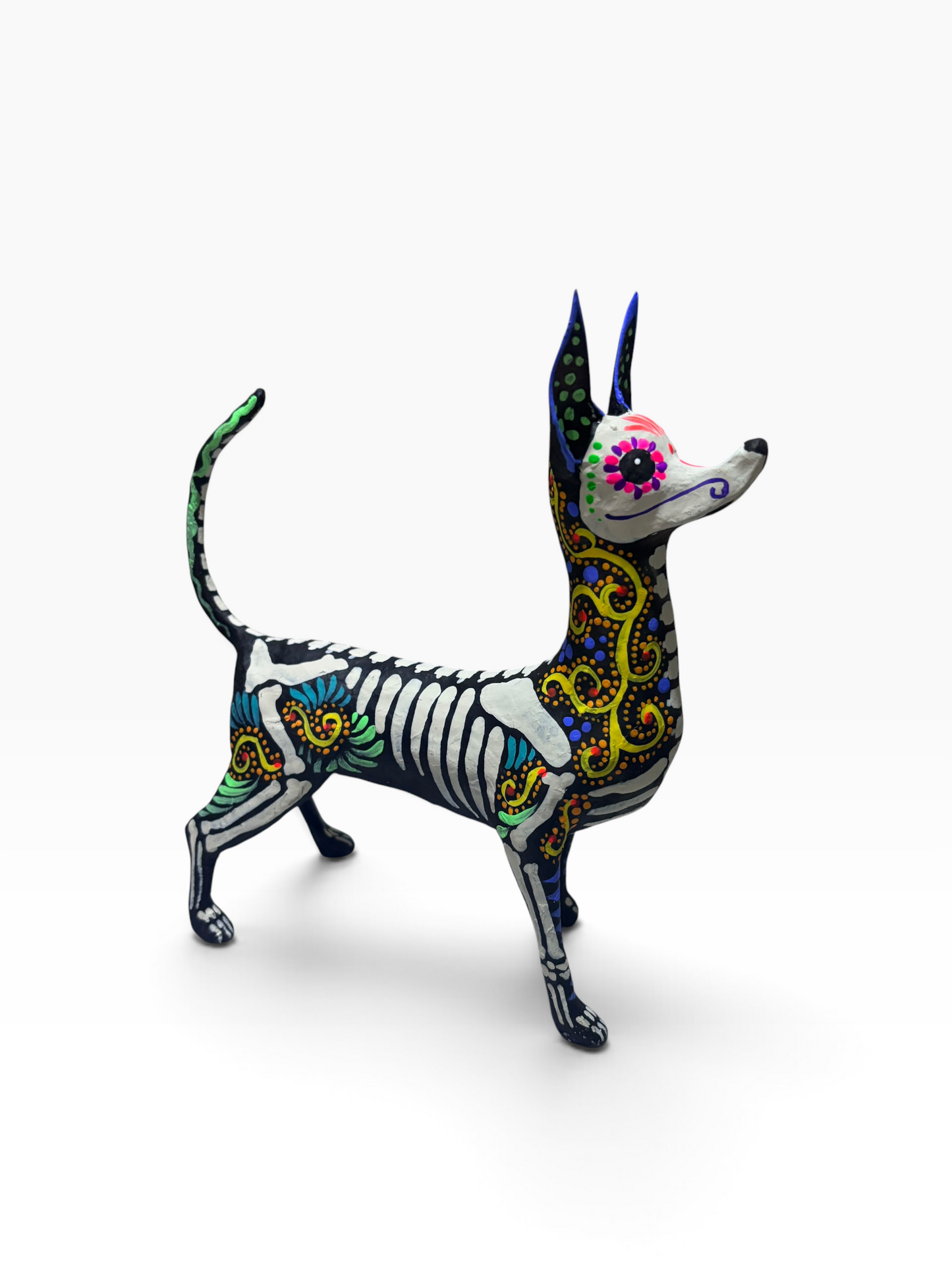 Xolo Espiral Amarillo