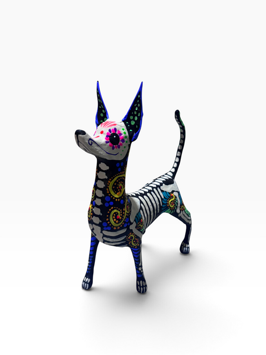 Xolo Gordito espiral rosa