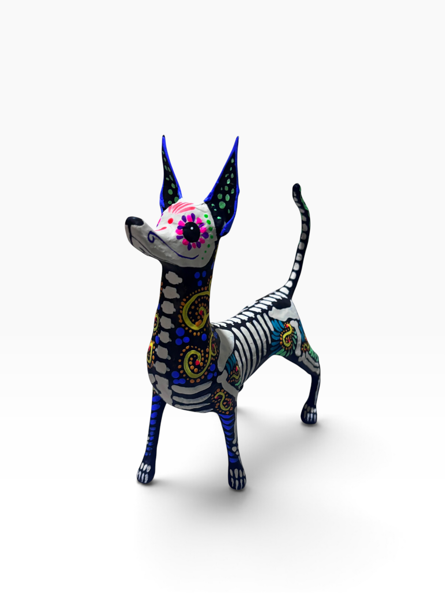 Xolo Espiral Amarillo