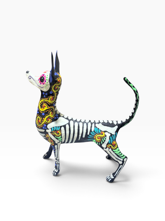 Xolo Espiral Amarillo