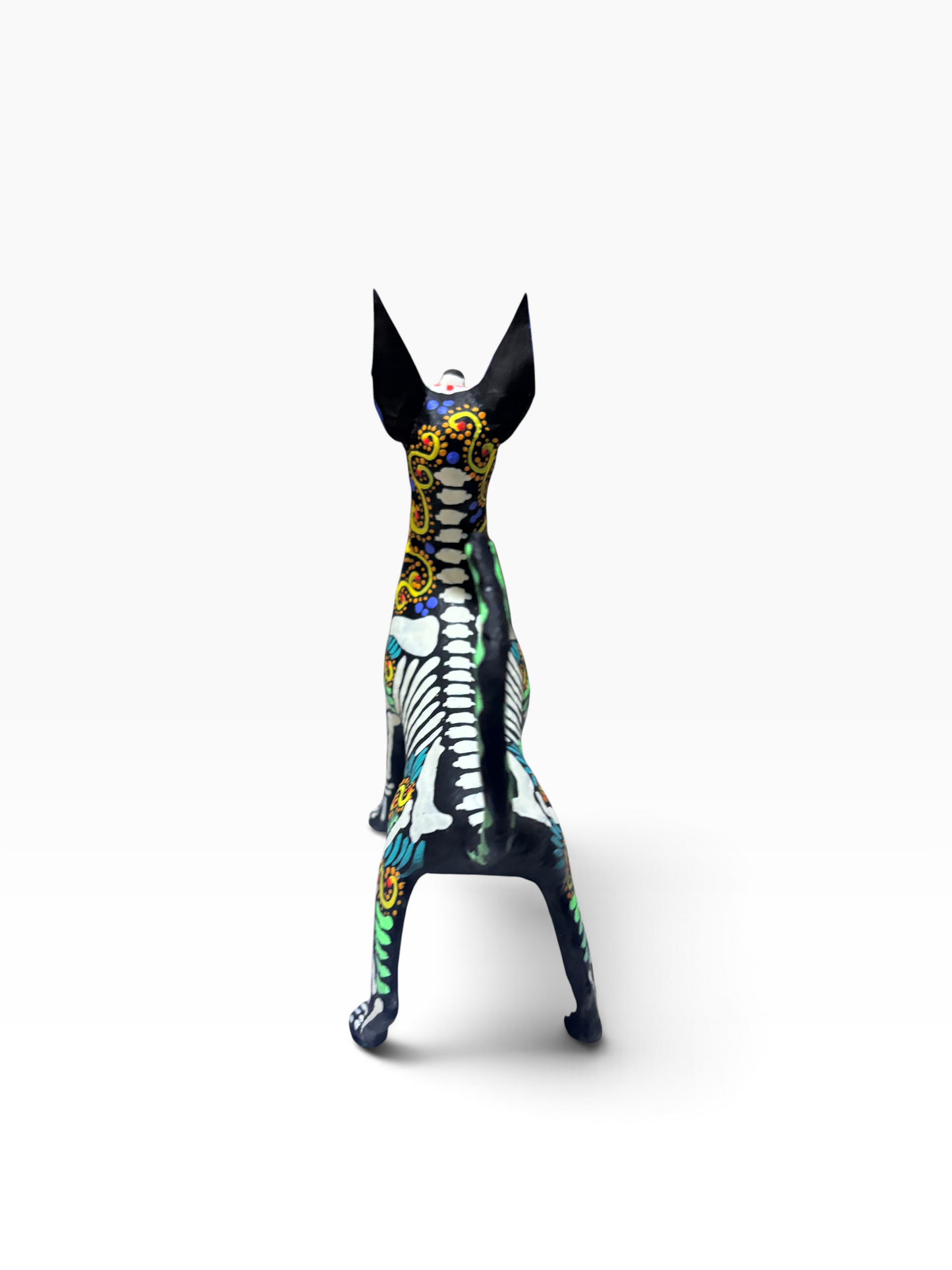 Xolo Espiral Amarillo