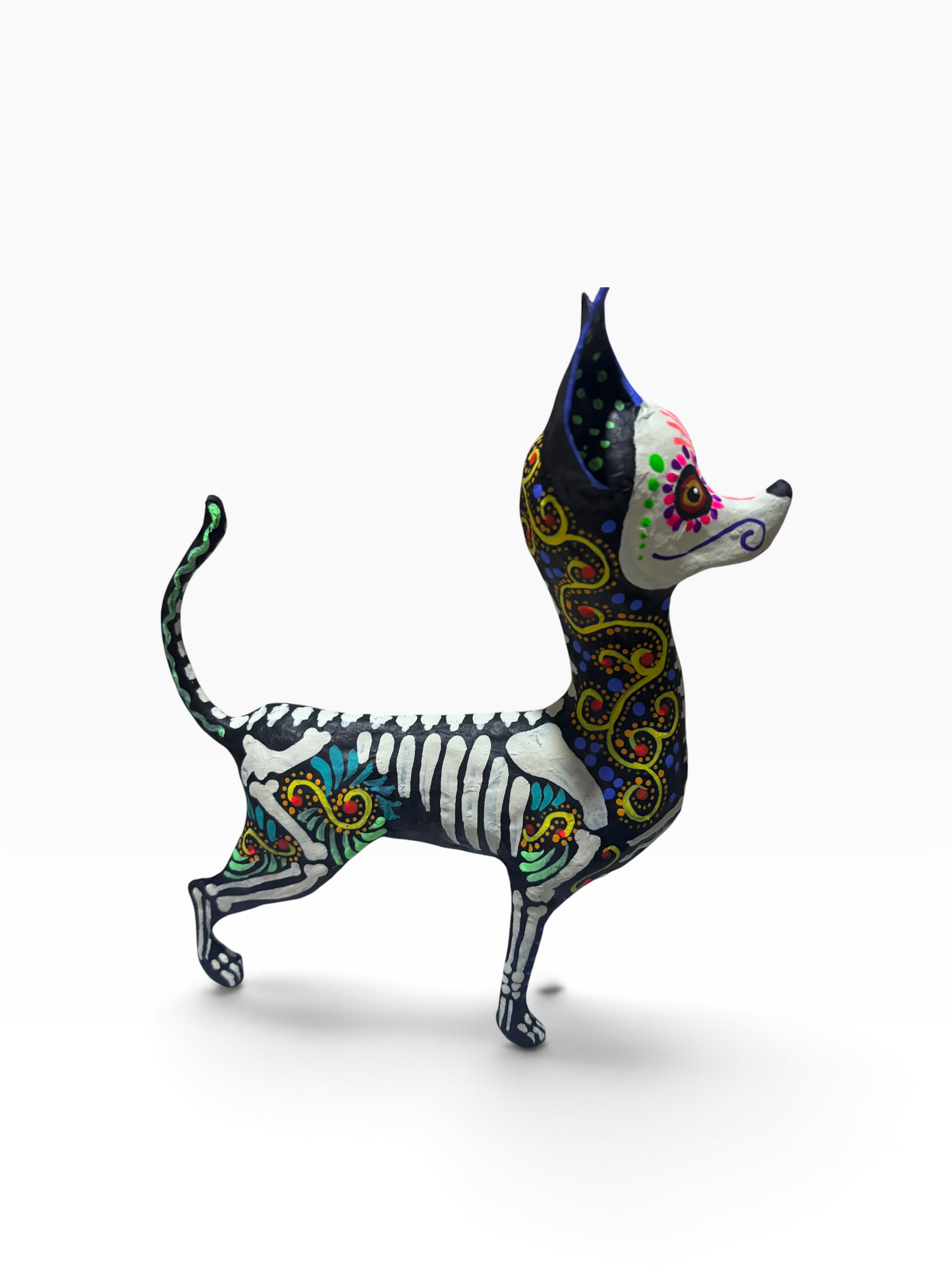 chihuahua espiral amarilo