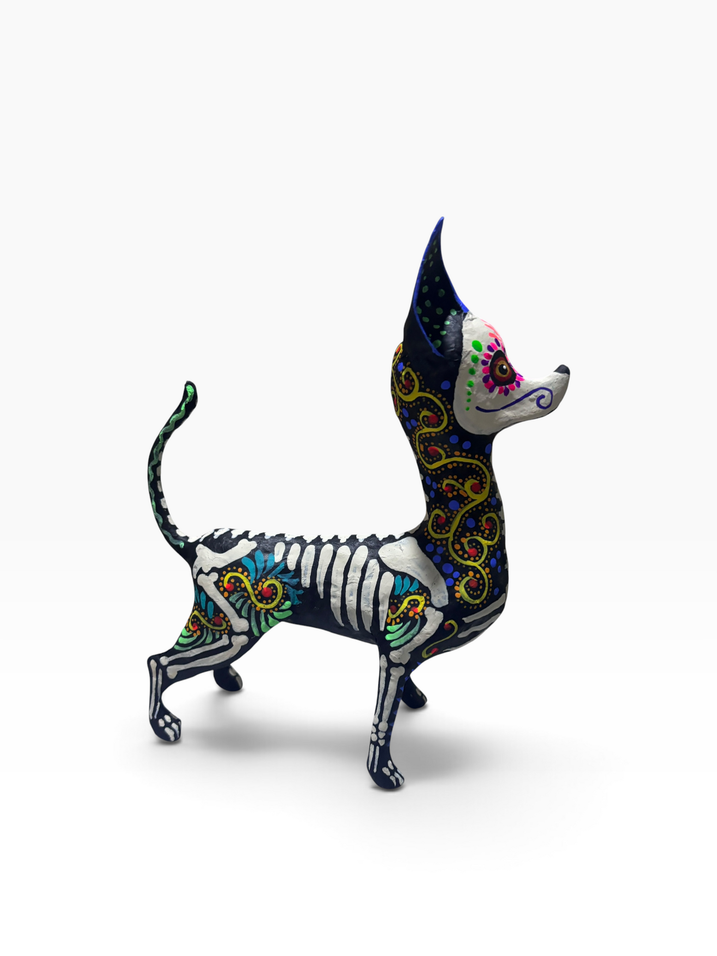 chihuahua espiral amarilo