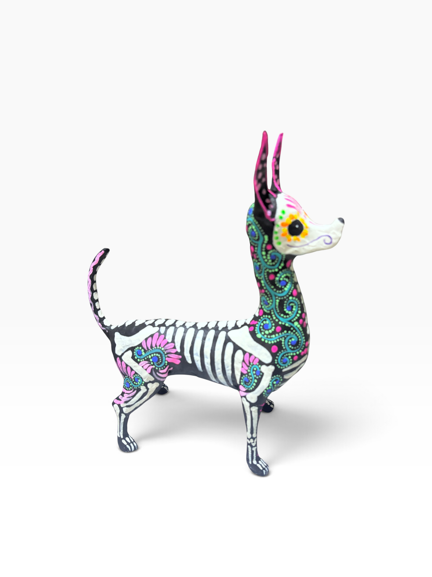 XOLO ESPIRAL AZUL