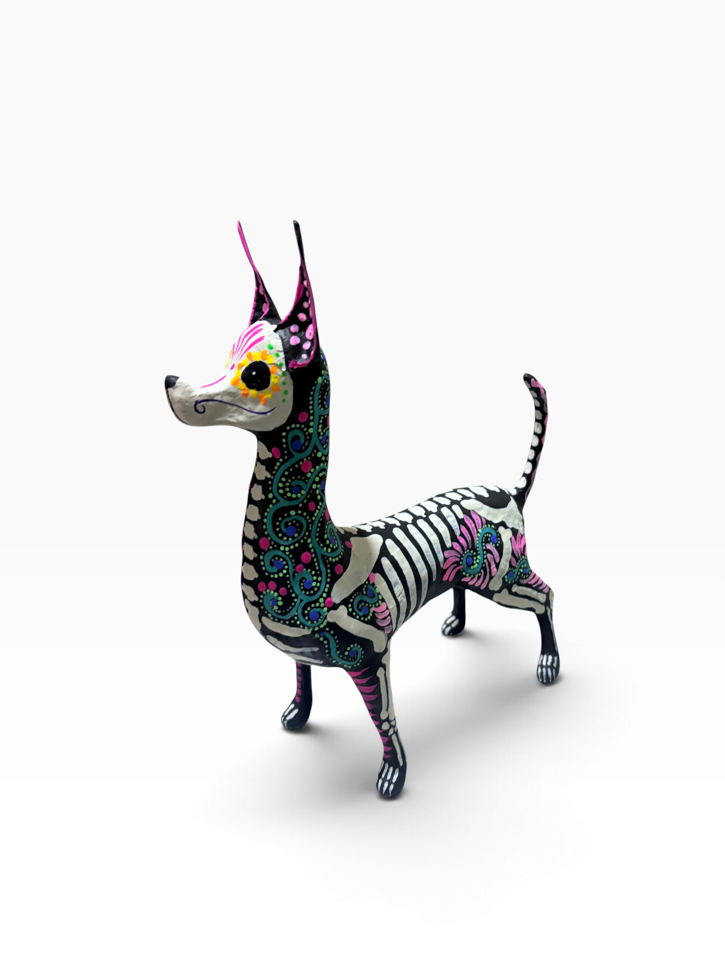 XOLO ESPIRAL AZUL