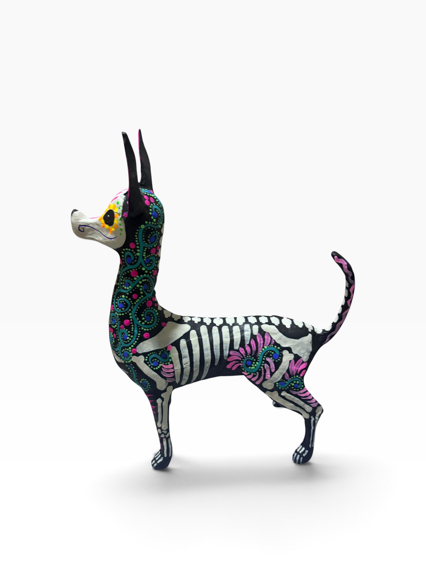 XOLO ESPIRAL AZUL