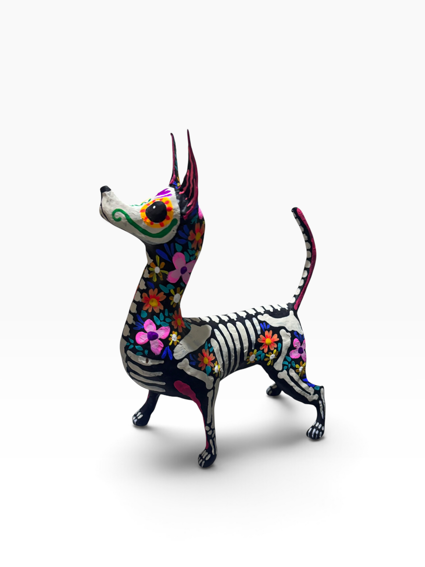 Xolo Trix Rosa