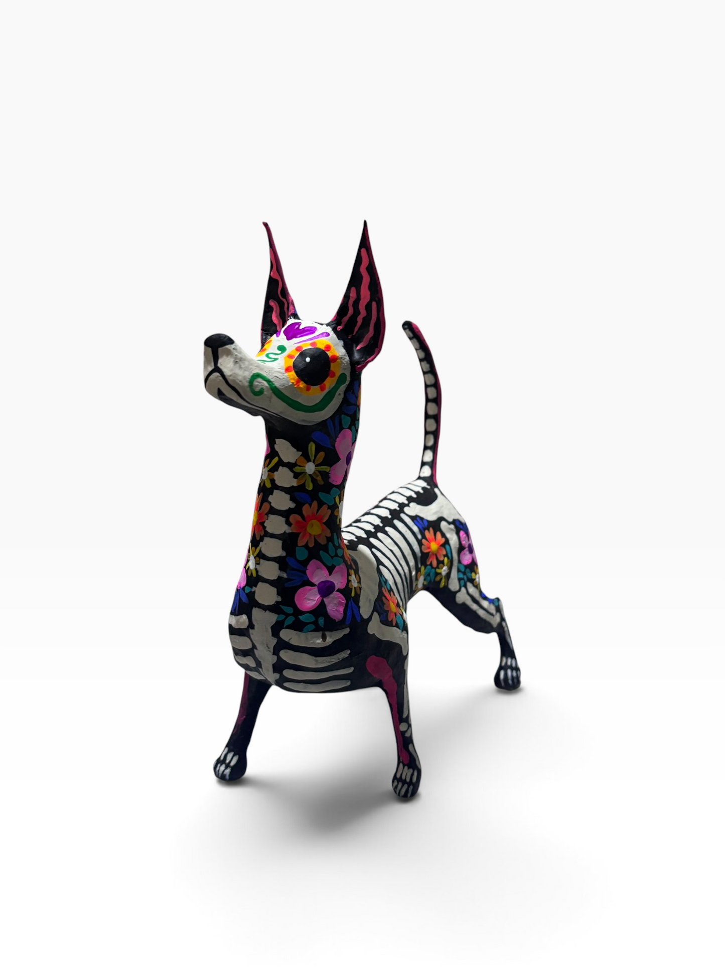 Xolo Trix Rosa
