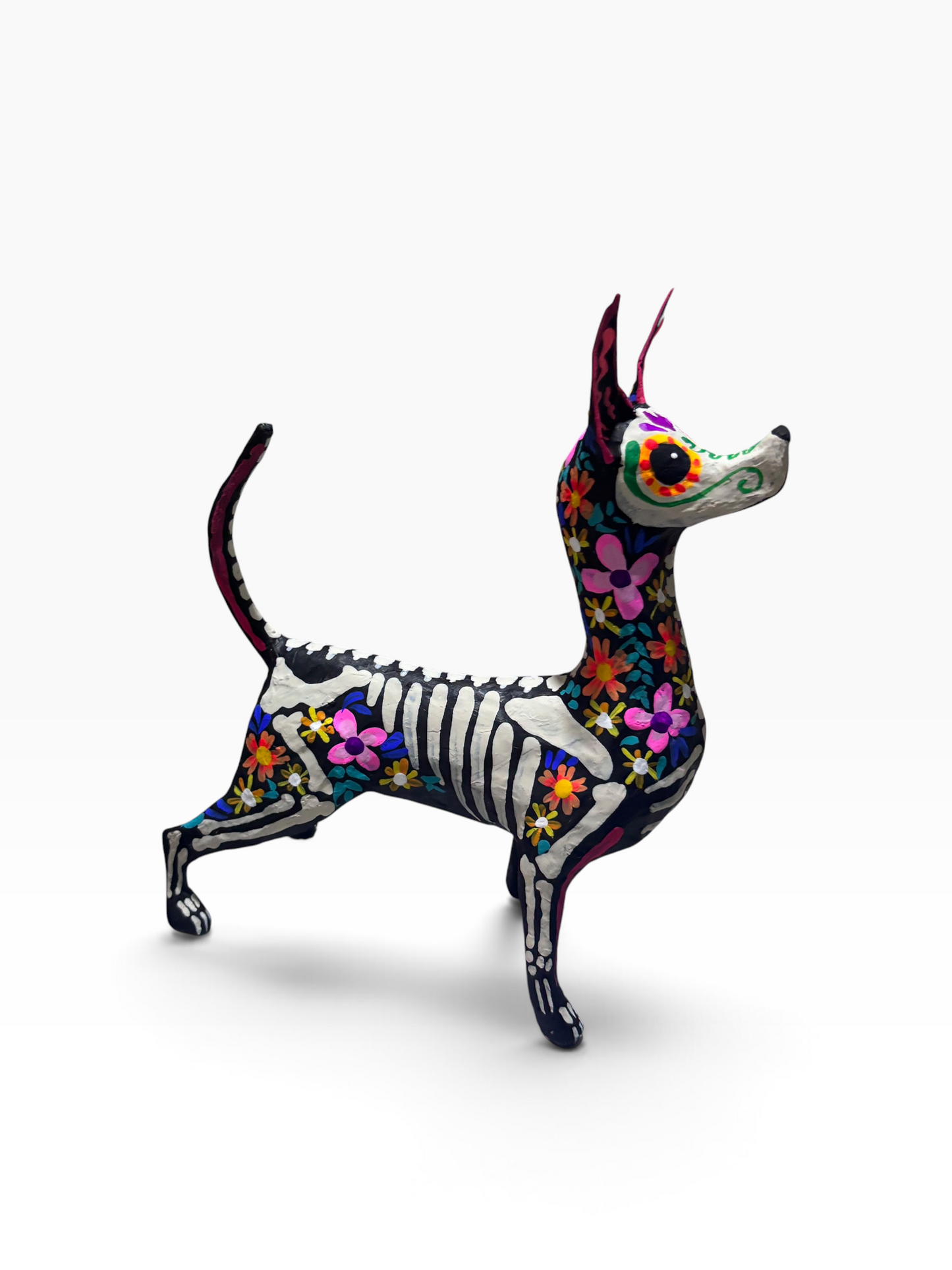 Xolo Trix Rosa