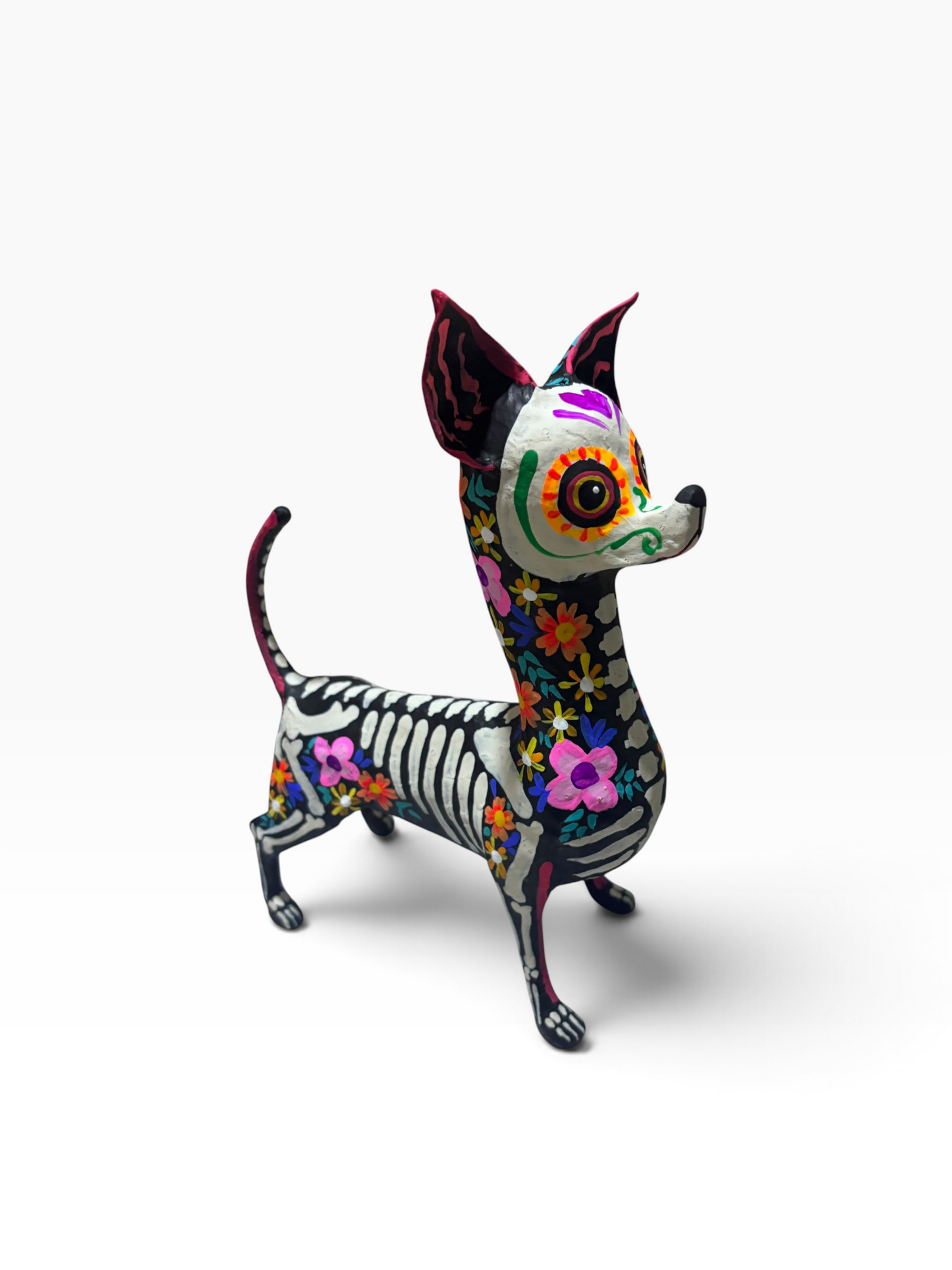 Chihuahua trix rosa