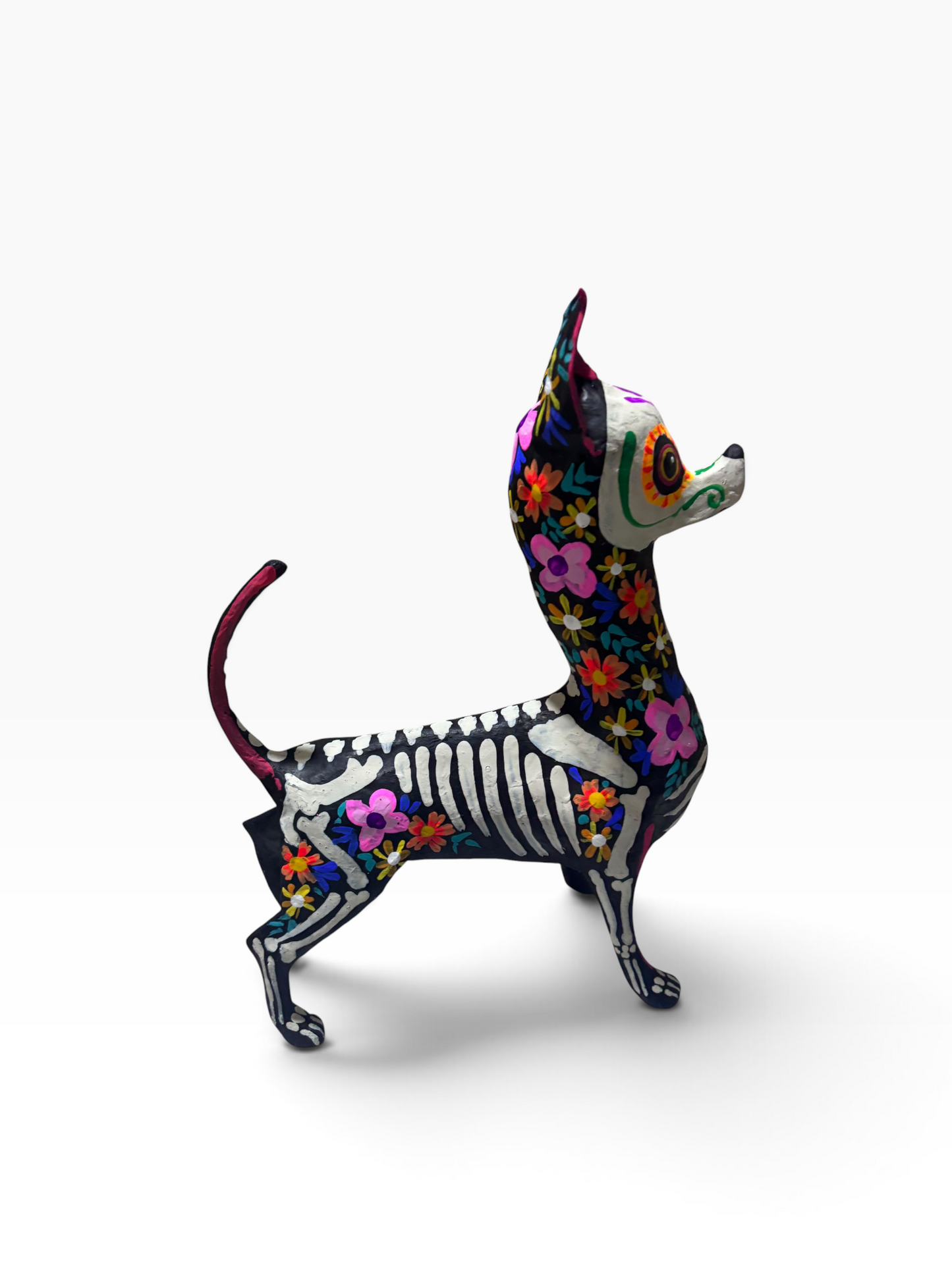 Chihuahua trix rosa