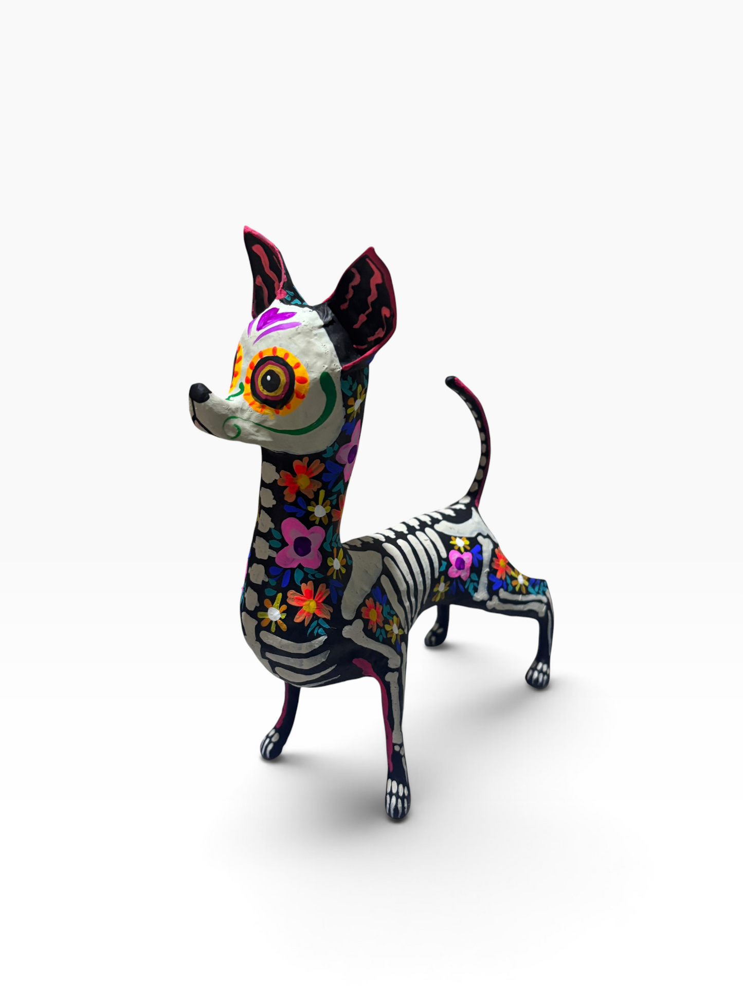 Chihuahua trix rosa