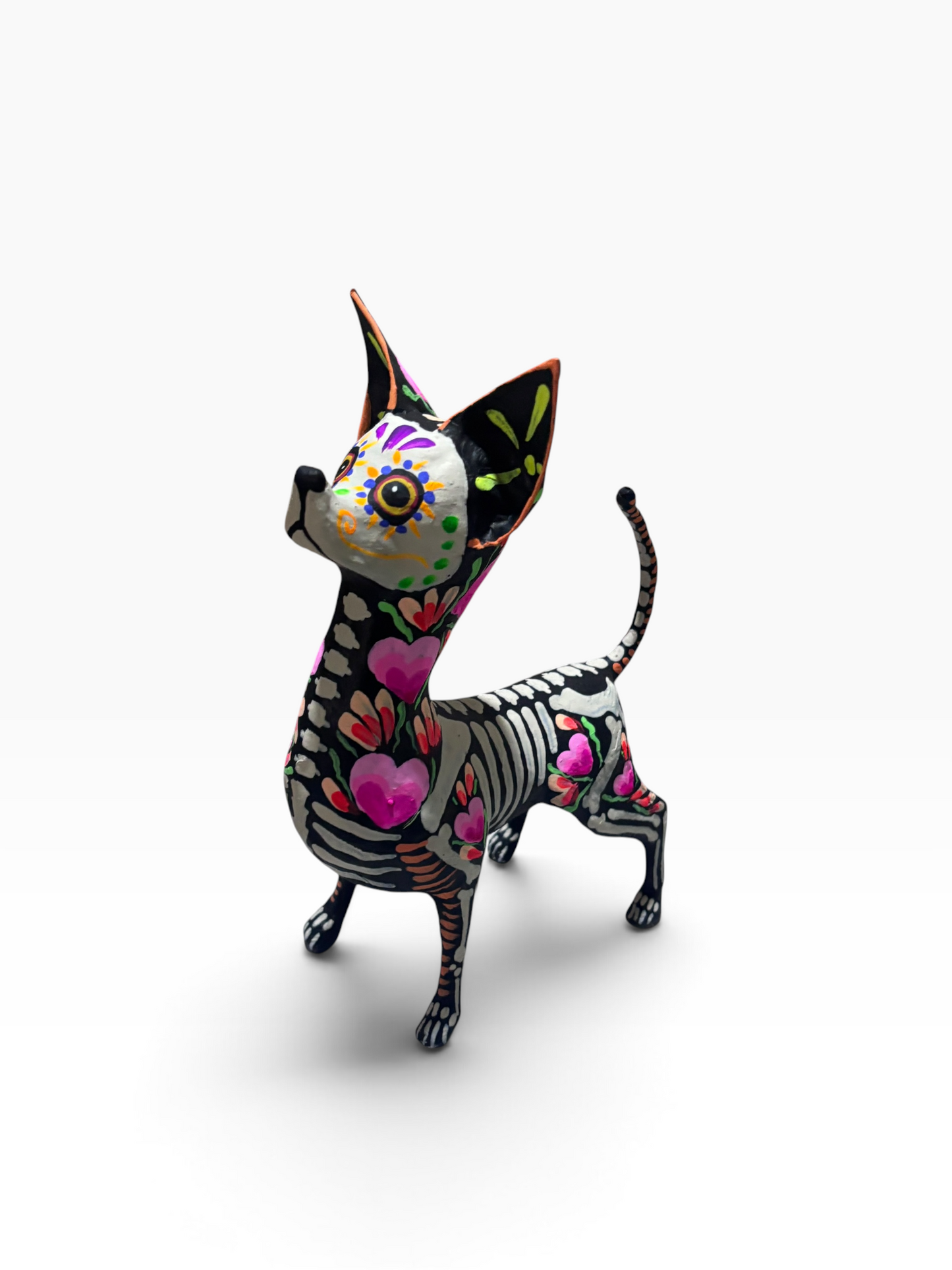 CHIHUAHUA CORAZON ROSA
