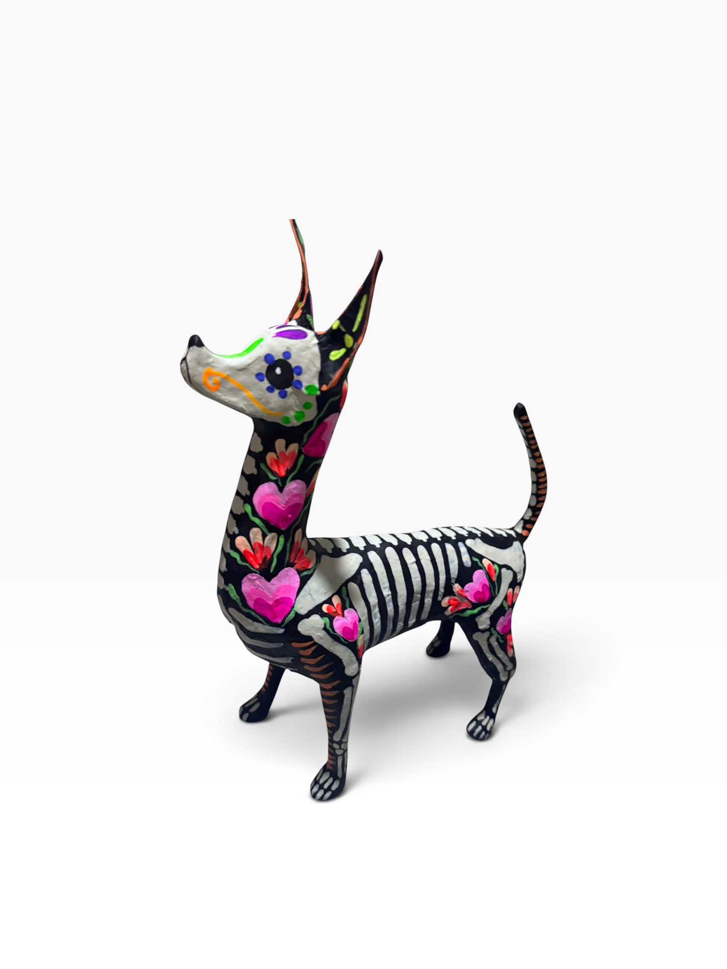 Xolo Corazones Rosas
